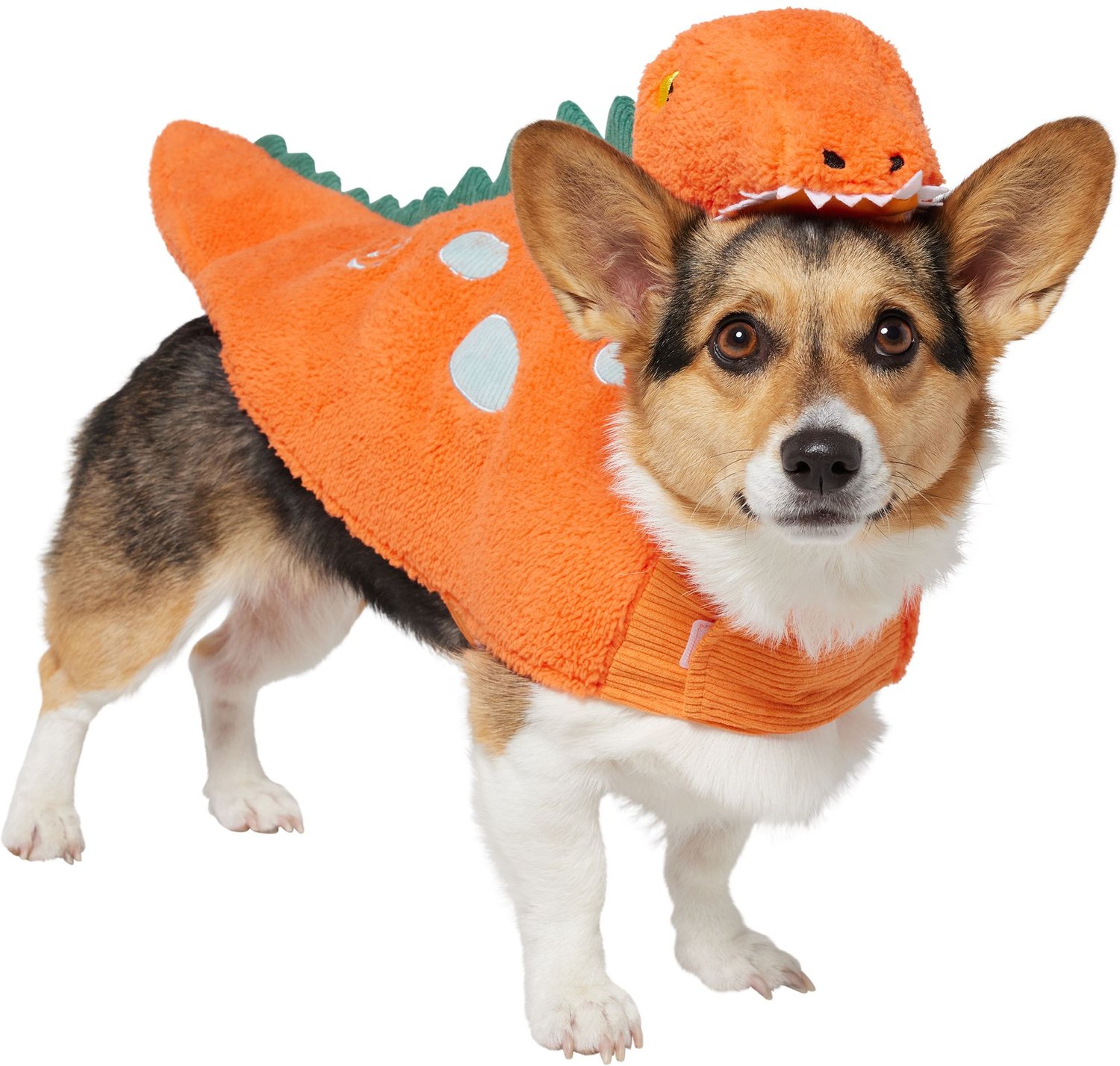 Frisco Furry Dinosaur Dog & Cat Costume