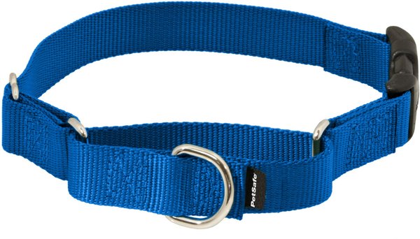 PetSafe Quick Snap Buckle Nylon Martingale Dog Collar, Royal Blue, Medium: 11 to 15-in neck, 1-in wide slide 1 of 7