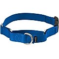 PetSafe Quick Snap Buckle Nylon Martingale Dog Collar, Royal Blue, Large: 13 to 20-in neck, 1-in wide