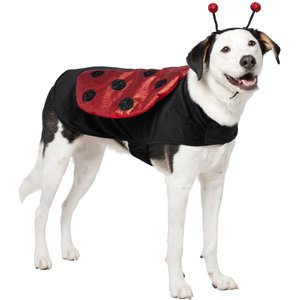 Frisco Glittered Ladybug Dog & Cat Costume, XX-Large
