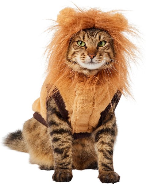Frisco Lion Love Dog & Cat Costume, Small slide 1 of 9