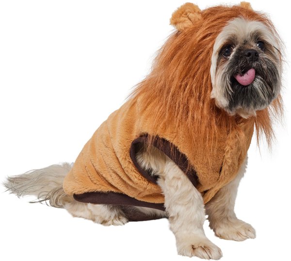 Frisco Lion Love Dog & Cat Costume, Medium slide 1 of 9