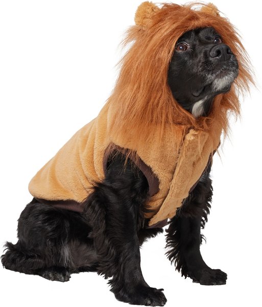 Frisco Lion Love Dog & Cat Costume, Large slide 1 of 8
