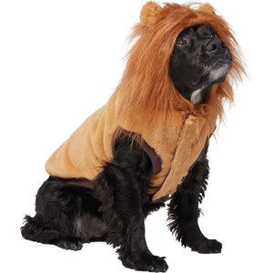 Frisco Lion Love Dog & Cat Costume, Large