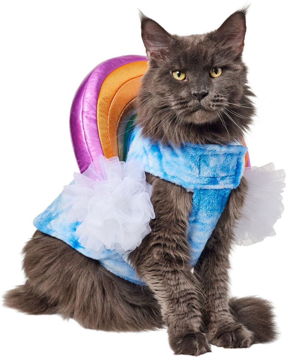 FRISCO Over the Rainbow Dog & Cat Costume, Small