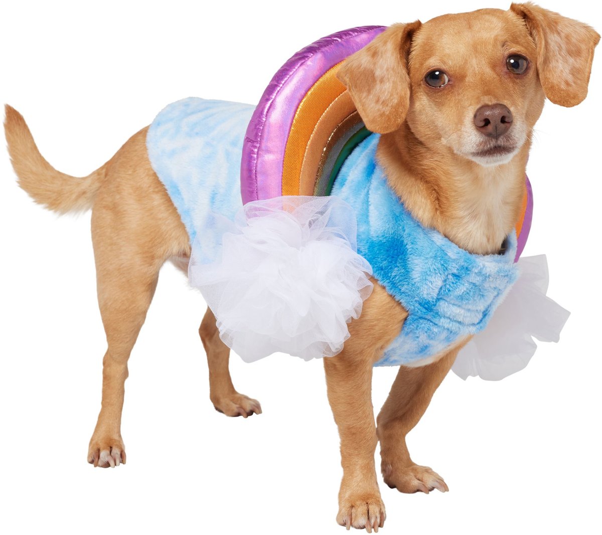 FRISCO Over the Rainbow Dog & Cat Costume, Small - Chewy.com