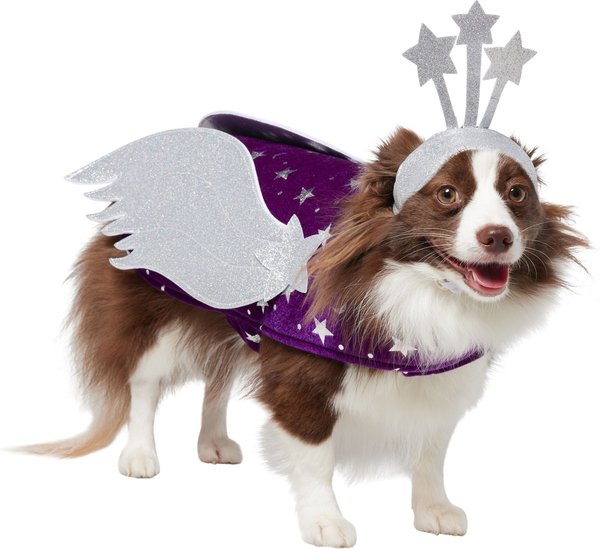 FRISCO Shooting Stars Dog & Cat Costume, Medium - Chewy.com