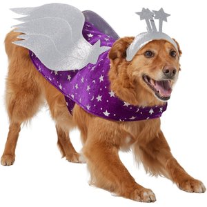 Frisco Shooting Stars Dog Costume