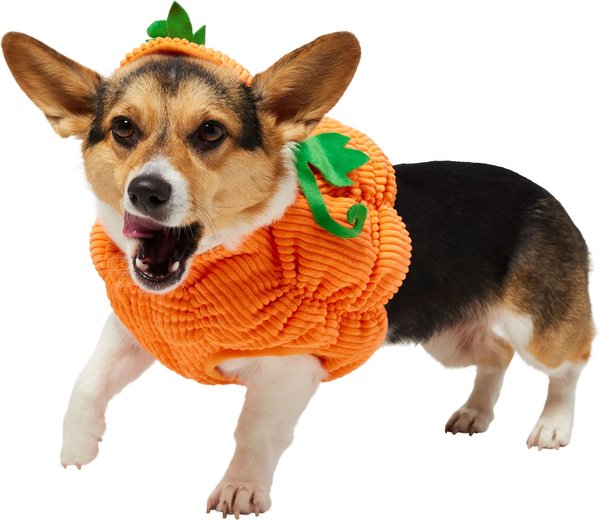 Frisco Pumpkin Ball Dog & Cat Costume, Medium slide 1 of 8