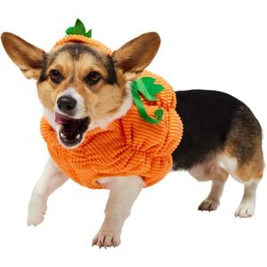 Frisco Pumpkin Ball Dog & Cat Costume, Medium