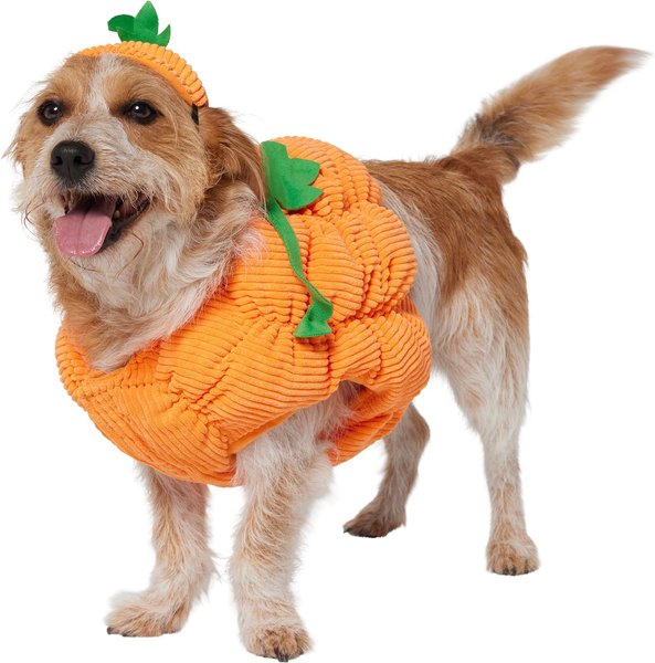 Frisco Pumpkin Ball Dog & Cat Costume, Large slide 1 of 7