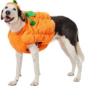 Frisco Pumpkin Ball Dog & Cat Costume, XX-Large