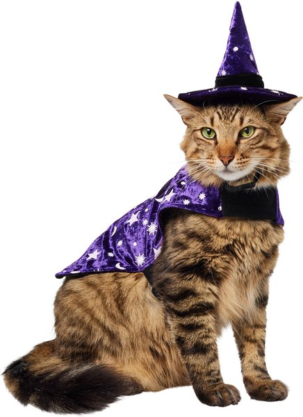 A cat wearing a purple witch hat and cape