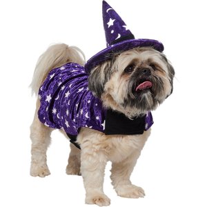 Frisco Cosmic Witch Dog & Cat Costume, Medium