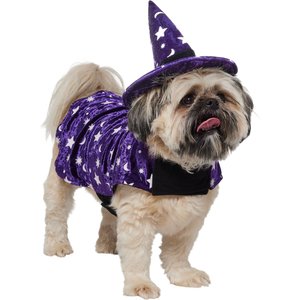 300+ Halloween Dog Names for 2022 – Top Dog Tips