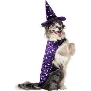 Frisco Cosmic Witch Dog & Cat Costume, X-Large