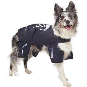 Frisco Glow in the Dark Skeleton Dog & Cat Costume, Large