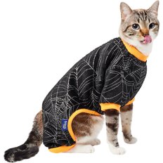 Cat Halloween Costumes & Clothing - Free shipping | Chewy