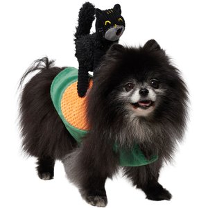 Frisco Pumpkin Cat Ride-On Dog Costume with detachable Plush Toy, Small