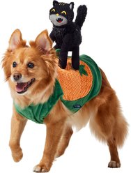Frisco Pumpkin Cat Ride-On Dog Costume with detachable Plush Toy, Medium