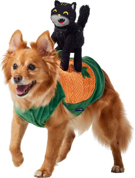 Frisco Pumpkin Cat Ride-On Dog Costume with detachable Plush Toy, Medium slide 1 of 8