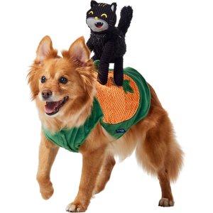 Frisco Pumpkin Cat Ride-On Dog Costume with detachable Plush Toy