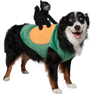 Frisco Pumpkin Cat Ride-On Dog Costume with detachable Plush Toy, Large
