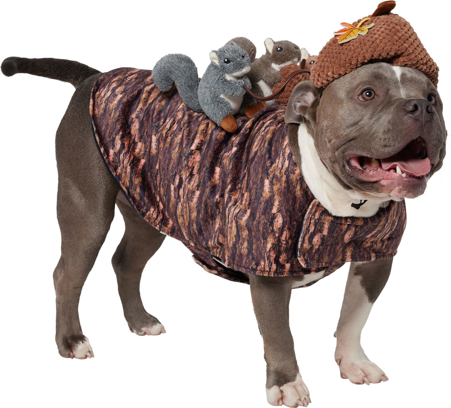 Frisco Squirrels & Nuts Ride-On Dog & Cat Costume