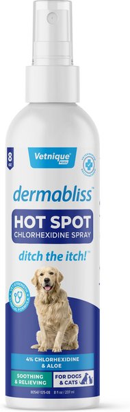 Vetnique Labs Dermabliss Hot Spot Medicated Antiseptic Spray with Aloe for Dogs, 8-oz bottle slide 1 of 7