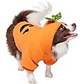 Frisco Sequin Pumpkin Dog & Cat Hoodie, Medium