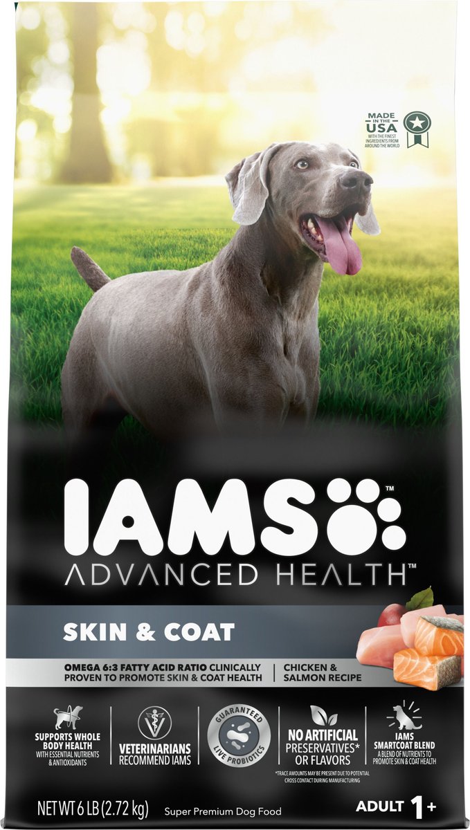 Iams sensitive 2024 stomach dog