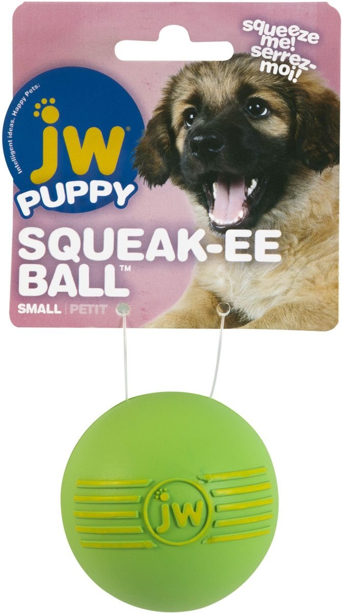 JW Pet iSqueak Ball Dog Toy, Color Varies