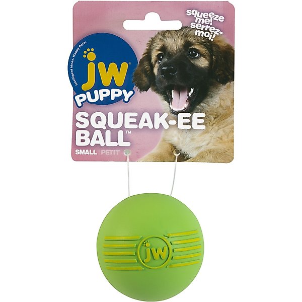 JW PET Crackle Heads Ball Dog Toy, Color Varies, Large - Chewy.com