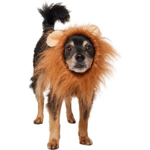 California Costumes Lion Mane Dog Costume