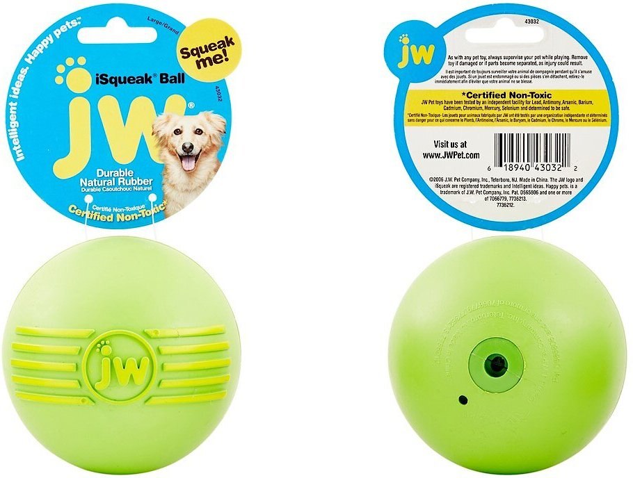 JW PET iSqueak Ball Dog Toy, Color Varies, Large