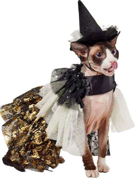 Frisco Enchanted Witch Dog & Cat Costume Accessory & Cape, X-Small/Small slide 1 of 8