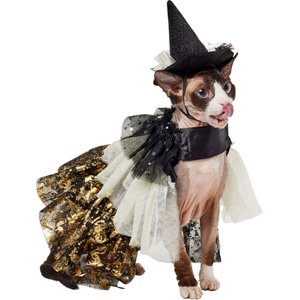 Frisco Enchanted Witch Dog & Cat Costume Accessory & Cape, X-Small/Small