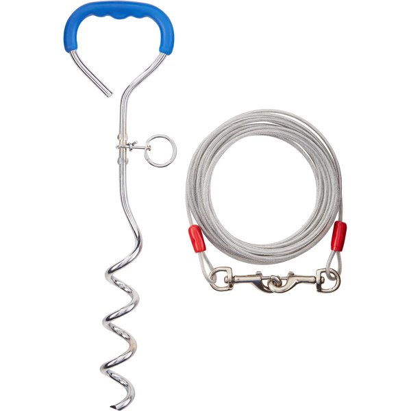 ASPEN PET Spiral Stake with 20Ft Tieout Cable, Medium, 16in