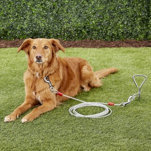 Aspen Pet X-Large Tie-Out Cable, 20-ft