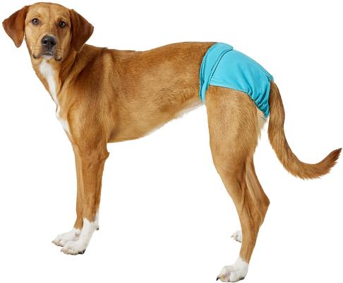 Show full view: Simple Solution Washable Female Dog Diaper, Large: 18 to 27-in waist slide 4 of 10