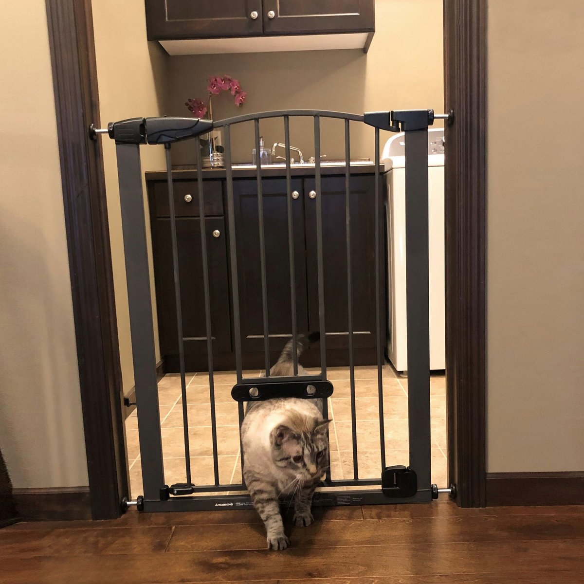 MyPet Tall Deco Easypass Cat & Dog Gate, Graphite