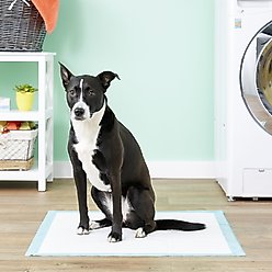 Simple Solution Extra Large Training Pads, 28" x 30", 50 count slide 2 of 9