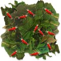 SunGrow Dried Mulberry Leaves Growth Supplement for Freshwater Aquarium Snail & Cherry Shrimp Food