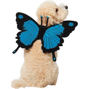 Frisco Magical Butterfly Wings Dog & Cat Costume Accessory, Medium/Large