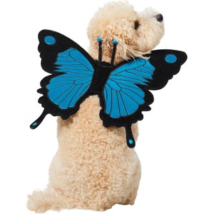 Frisco Magical Butterfly Wings Dog Costume