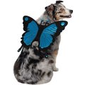 Frisco Magical Butterfly Wings Dog & Cat Costume Accessory, X-Large/XX-Large