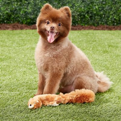 Show full view: Ethical Pet Skinneeez Forest Series Squirrel Stuffing-Free Squeaky Plush Dog Toy, 14-in slide 4 of 6