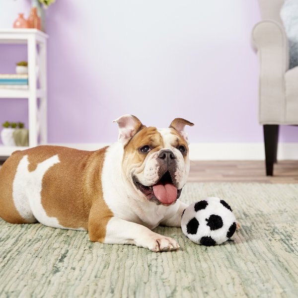 All For Paws Cuddle SoccerBall Plush DogToy, Color Varies