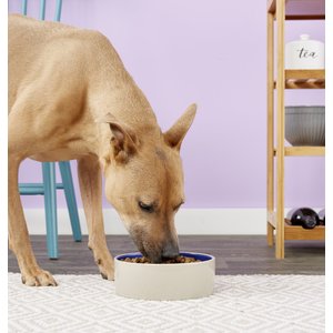 10 Best Dog Bowls Dishes 2024 According to Reviews Chewy