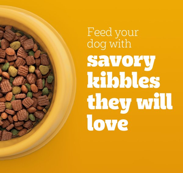 Pedigree High Protein Beef & Lamb Flavor Dog Kibble Adult Dry Dog Food